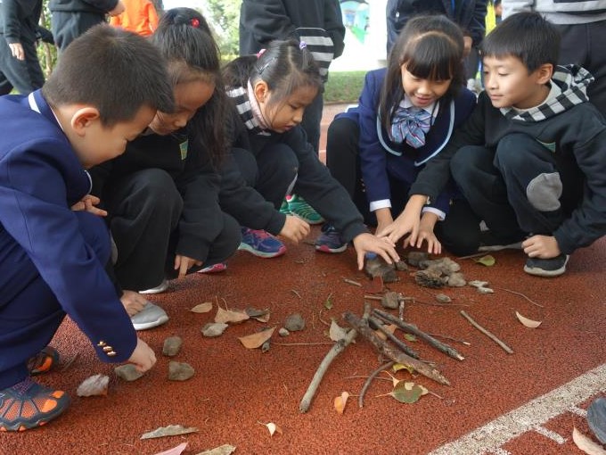 野外尋蹤 (1).jpg