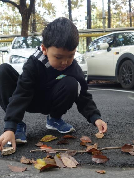 野外尋蹤 (2).jpg