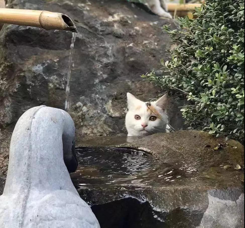 微信圖片_20191231164555.jpg