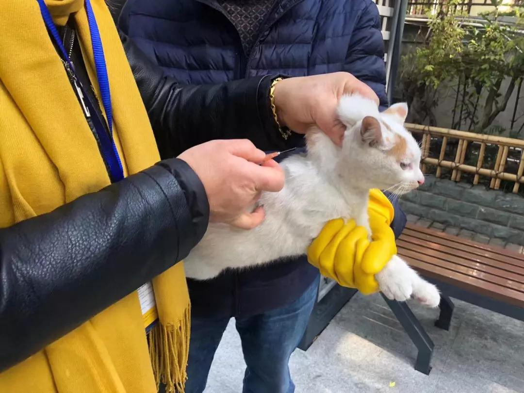 微信圖片_20191231164841.jpg