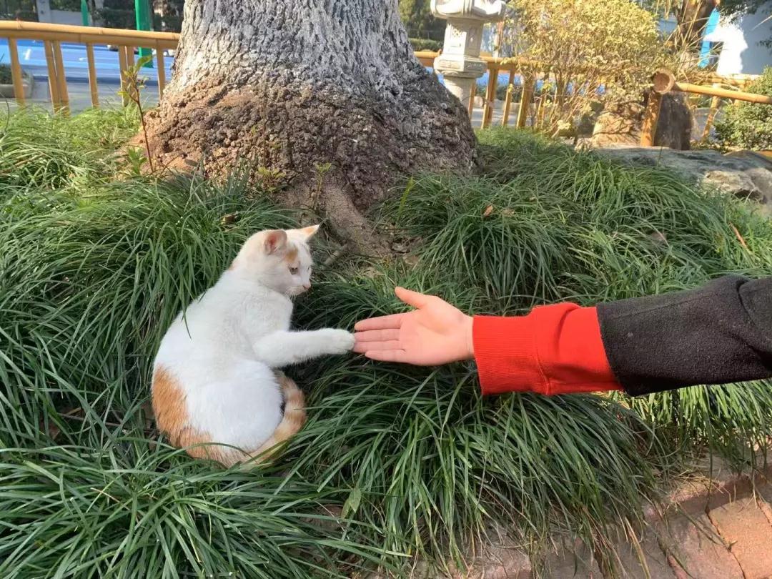 微信圖片_20191231164943.jpg