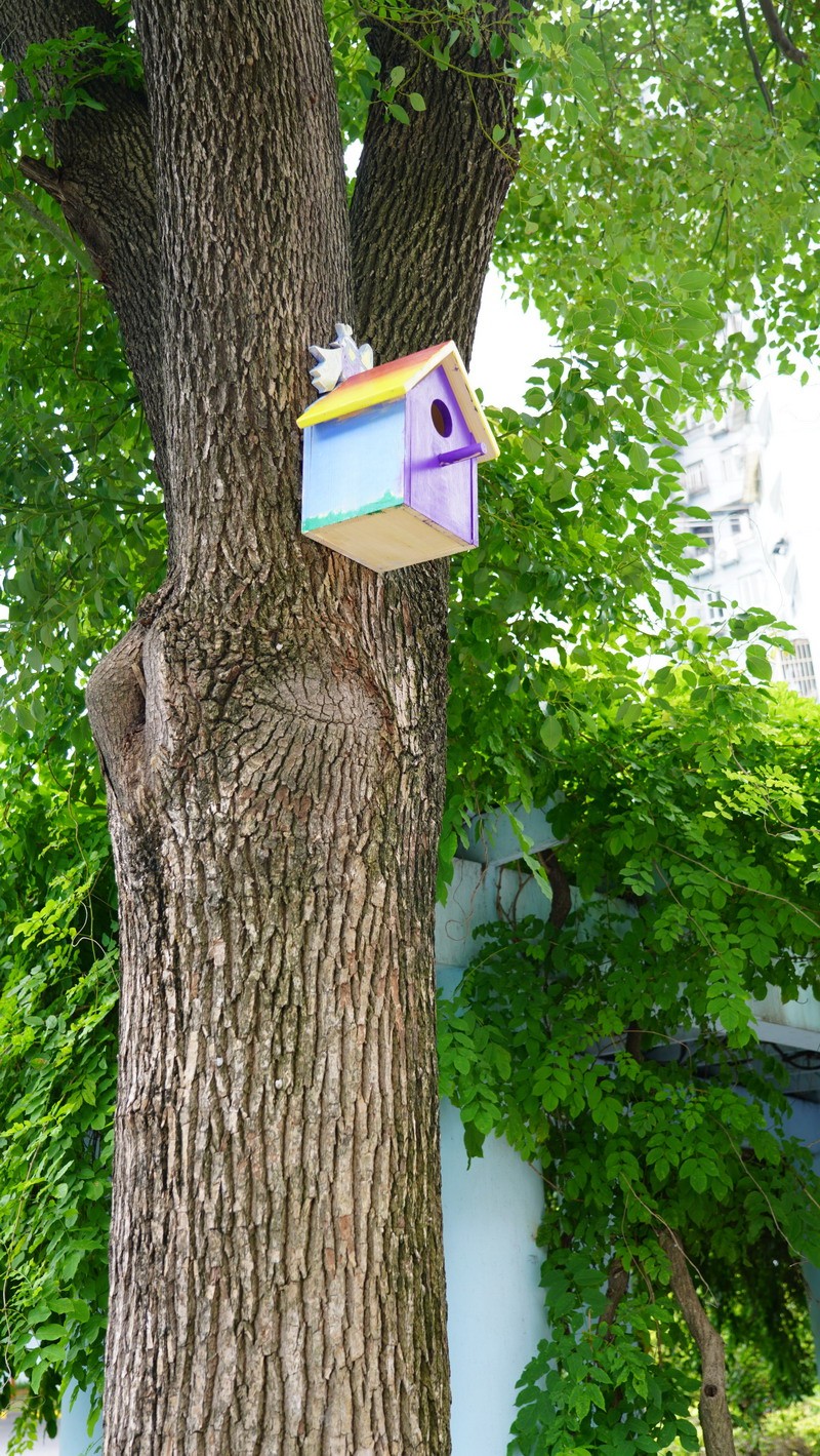 1687769037291192.jpg 43.jpg