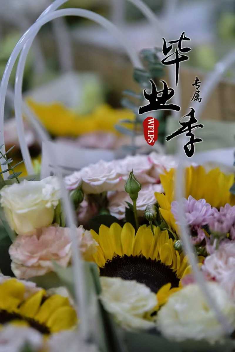 1751269144980585.jpg 圖片1.jpg